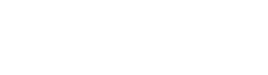 DeVortex white logo