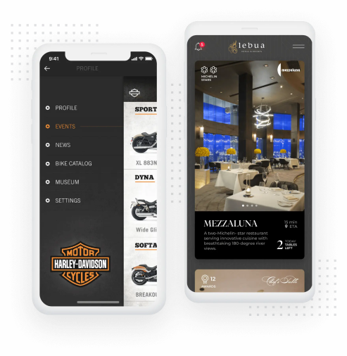 Mobile APP Development Agency DevVortex