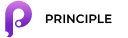 Principle DevVortex
